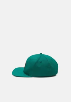 YOURTURN WINCENT WEISS UNISEX - Czapka Z Daszkiem - Green -Yourturn 66ac05c156b44c748fffa5919da458ab scaled